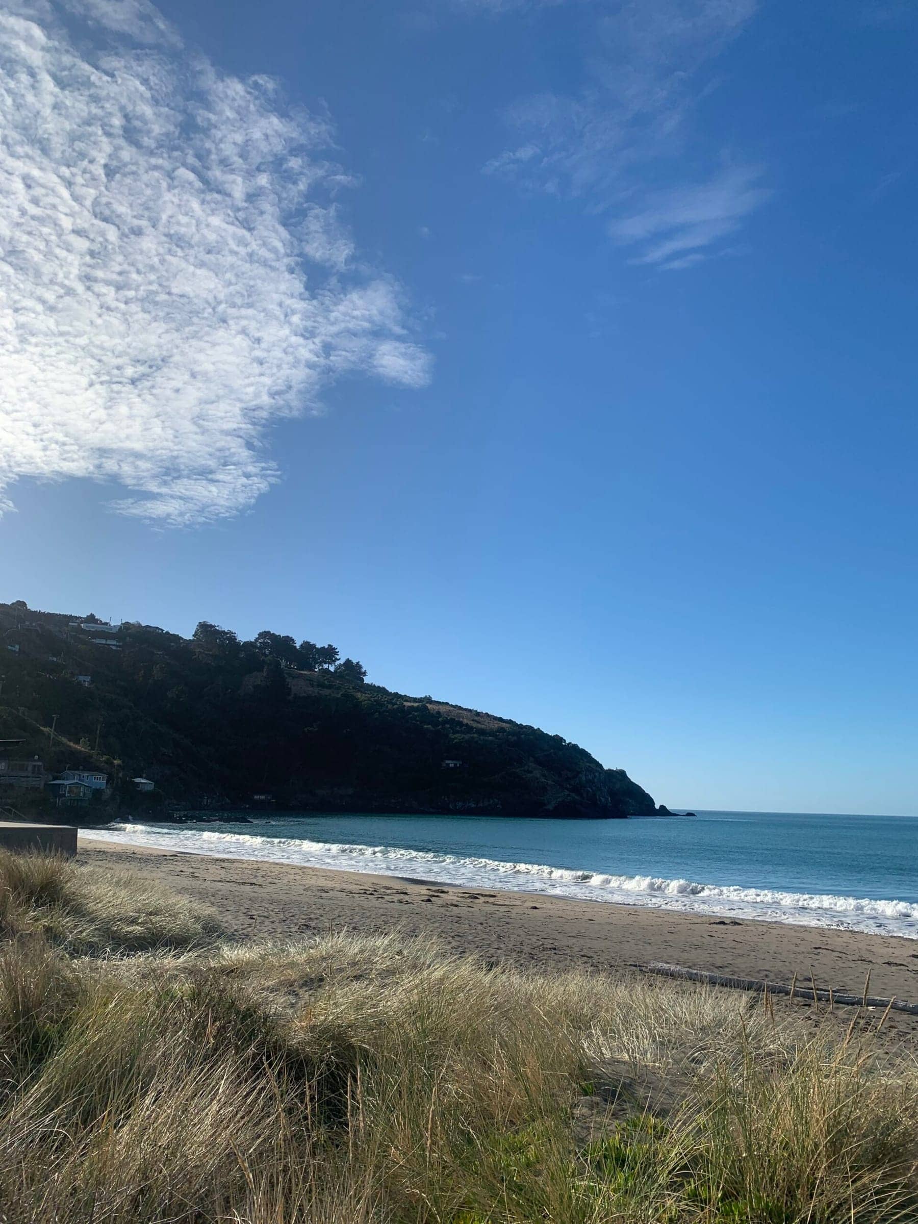 Photo from Postcards from the South Island
