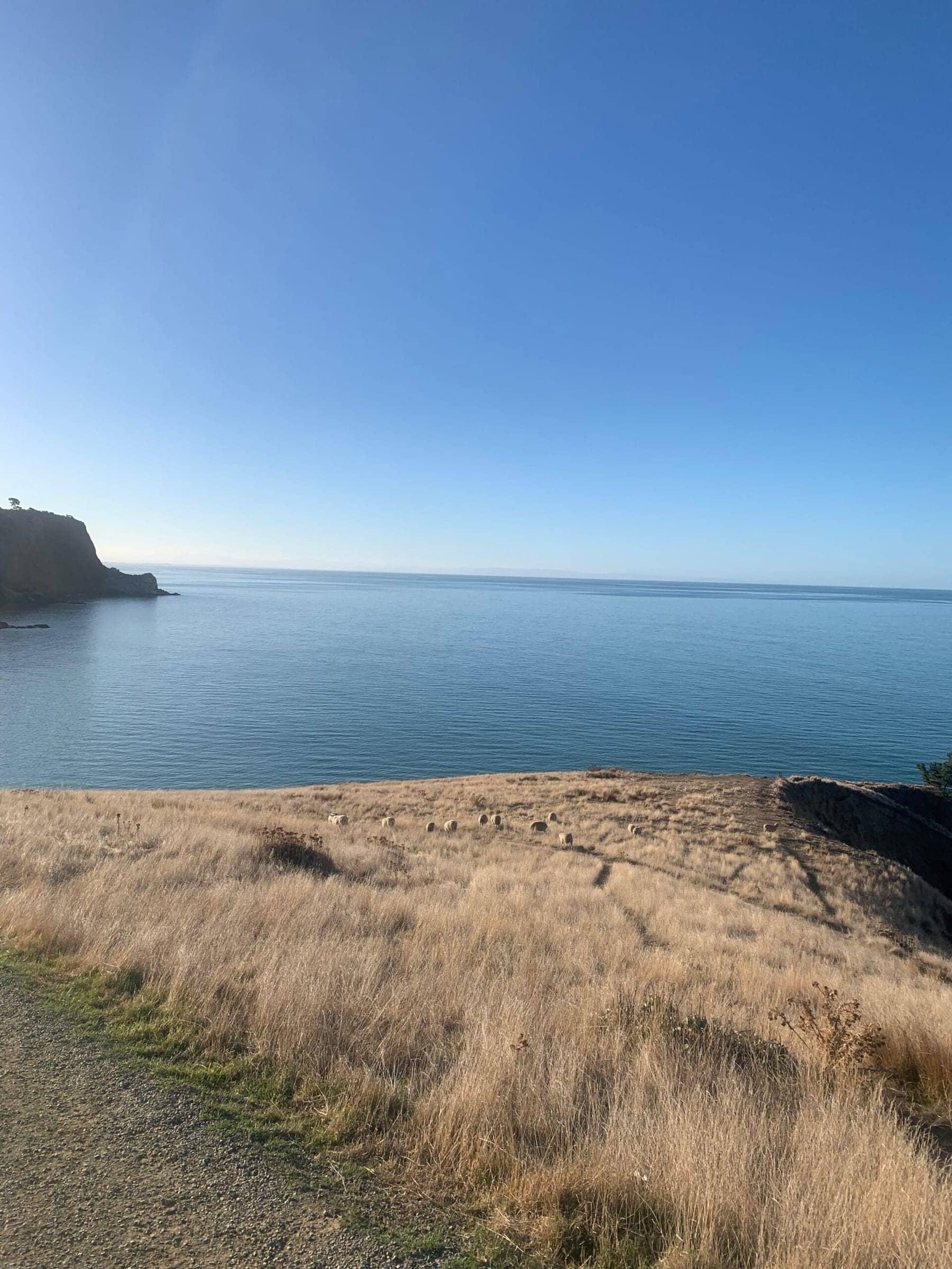 Photo from Postcards from the South Island