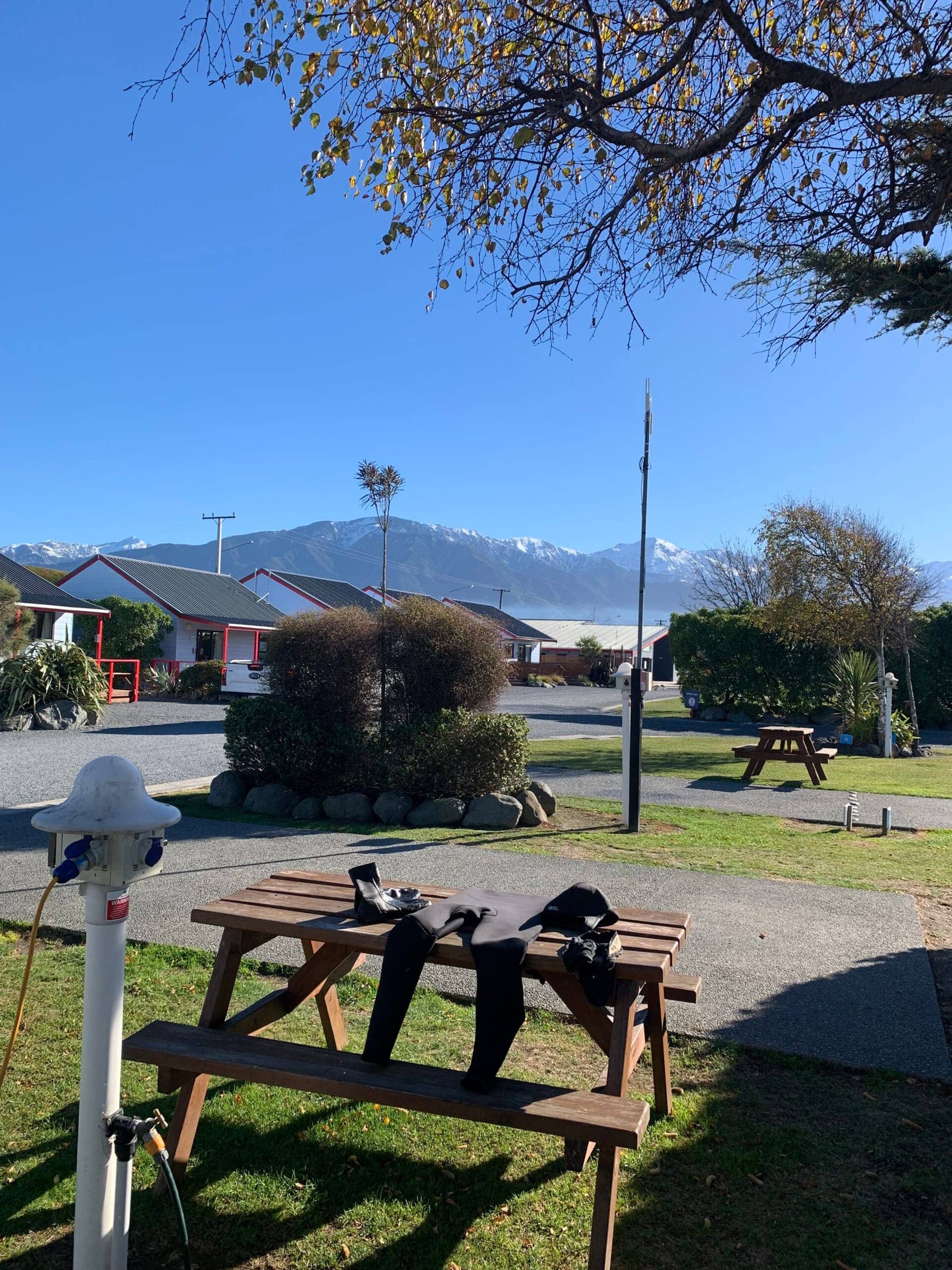 Photo from Postcards from the South Island