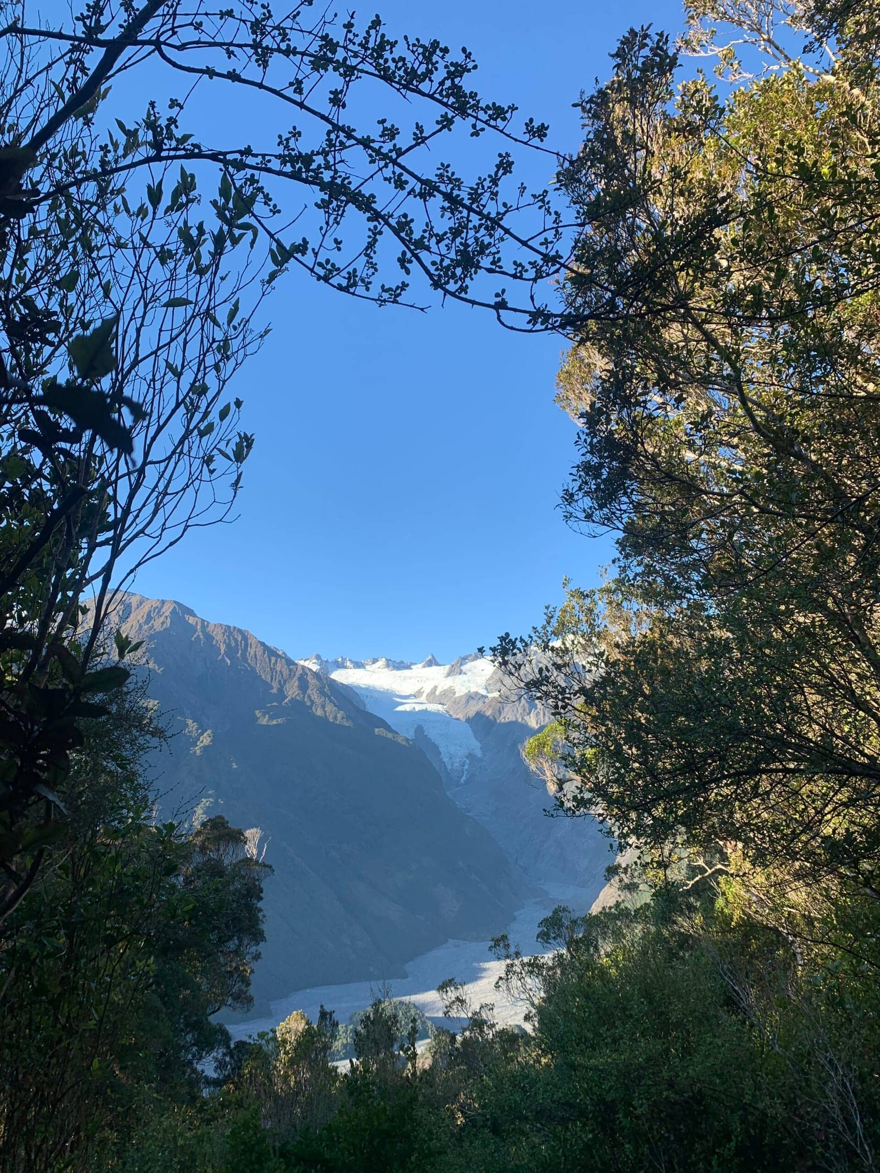 Photo from Postcards from the South Island