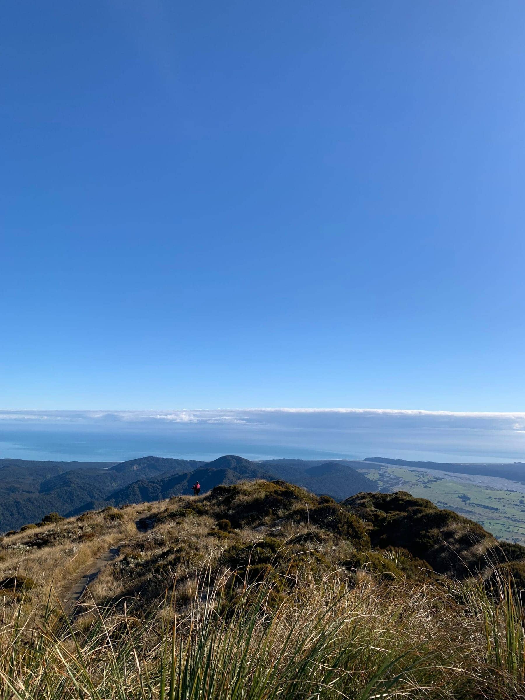 Photo from Postcards from the South Island
