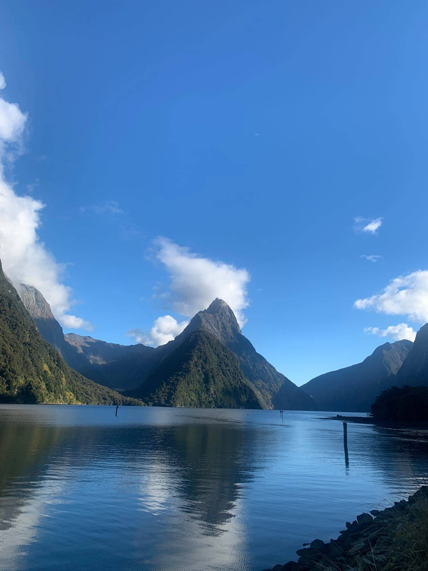 Photo from Postcards from the South Island