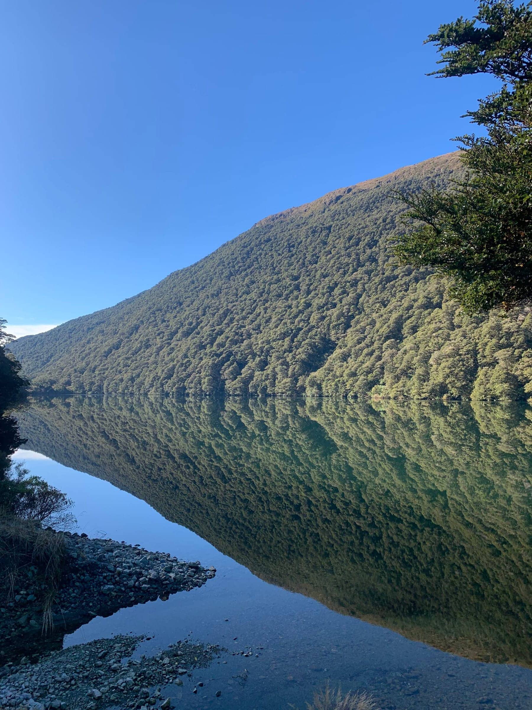 Photo from Postcards from the South Island