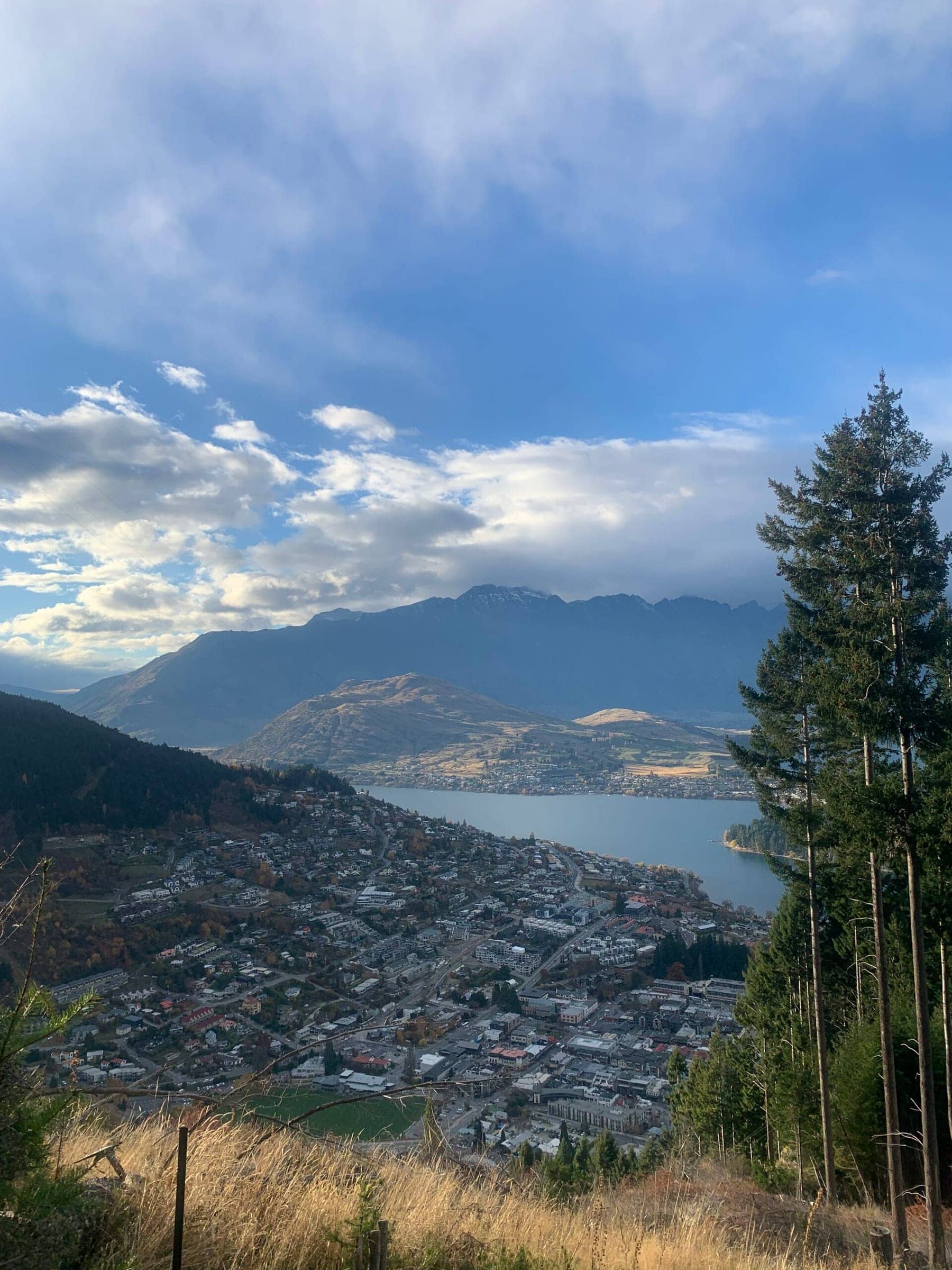 Photo from Postcards from the South Island