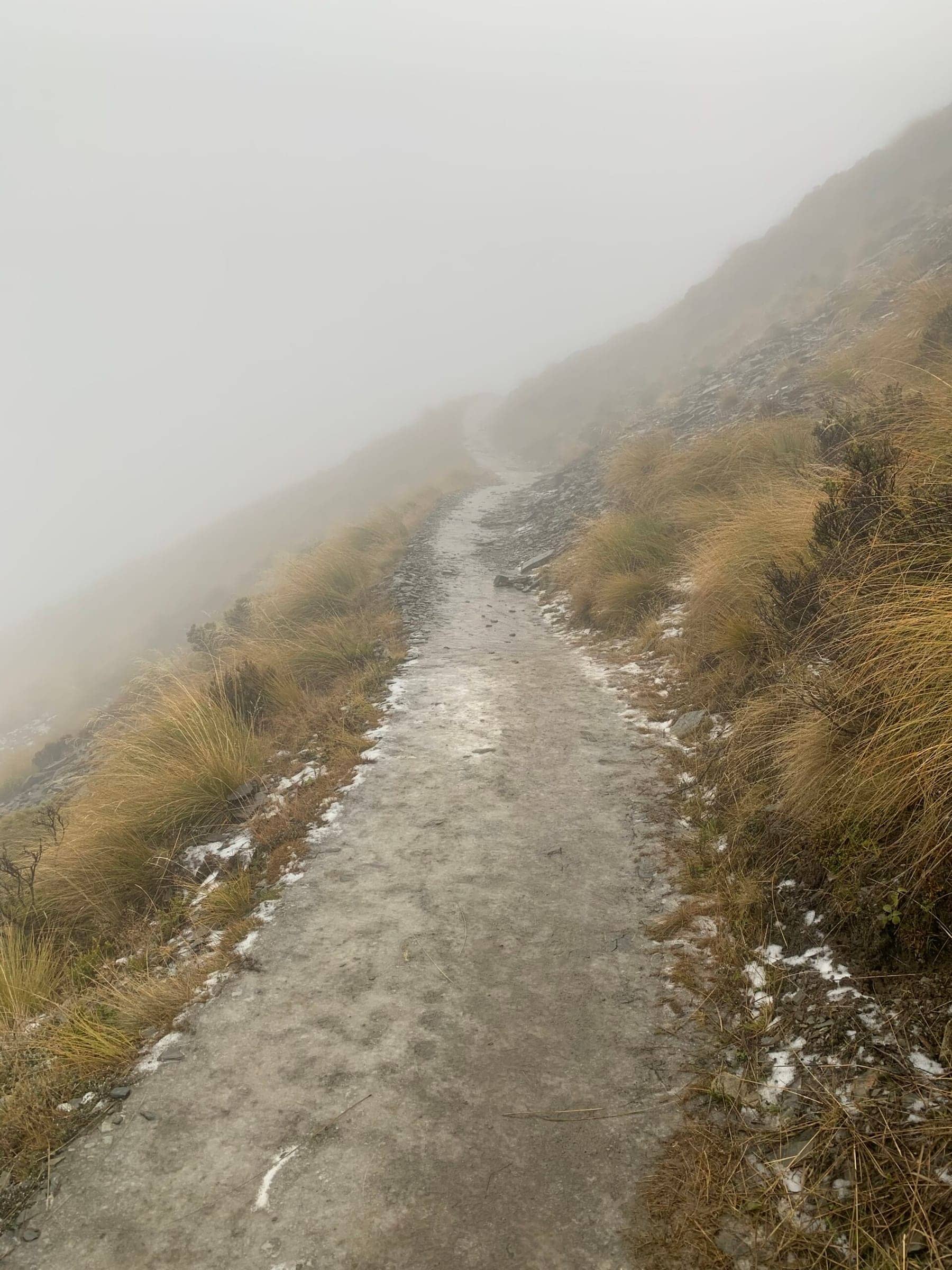 Photo from Postcards from the South Island