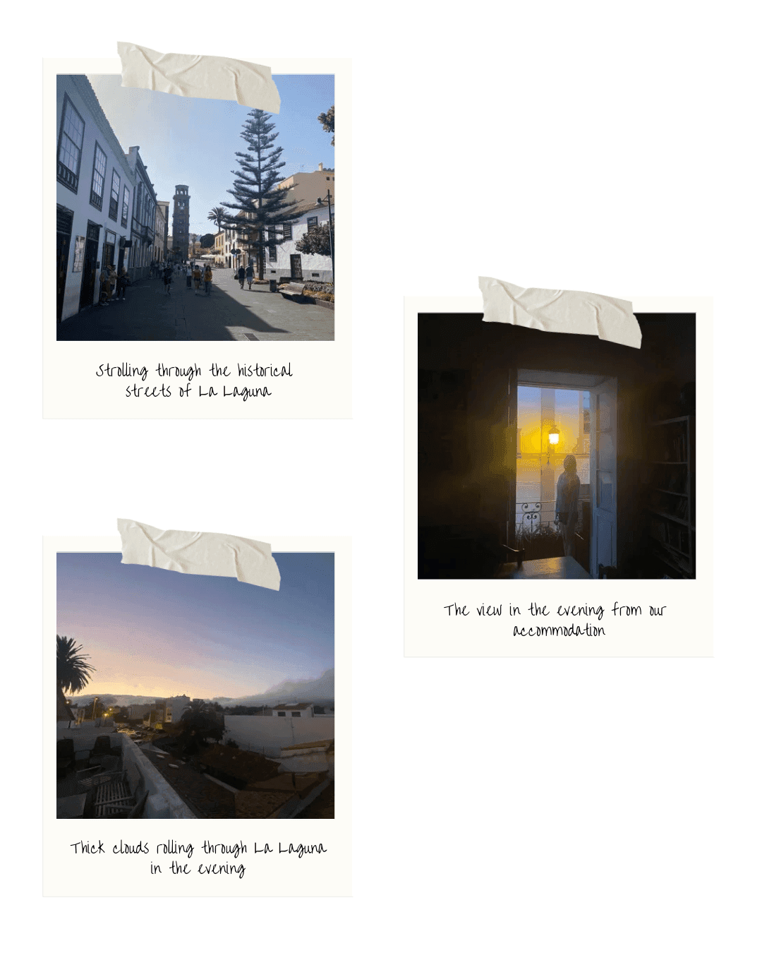 Photo from From Teide to Anaga: A Journey across Tenerife