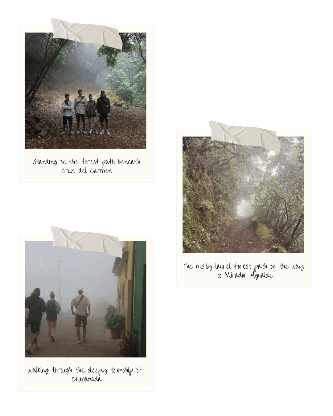 Photo from From Teide to Anaga: A Journey across Tenerife