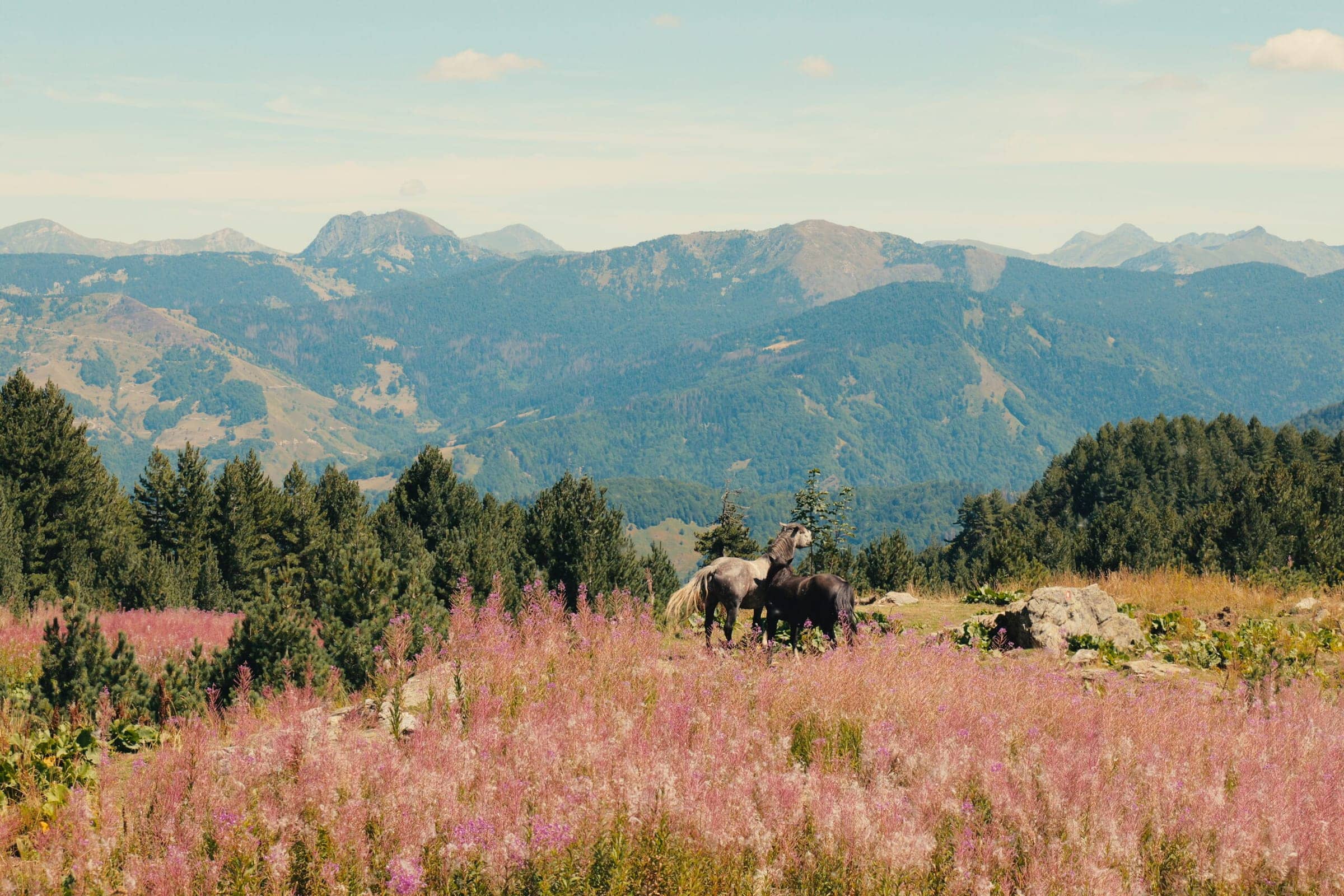 Photo from Tackling the Peaks of the Balkans