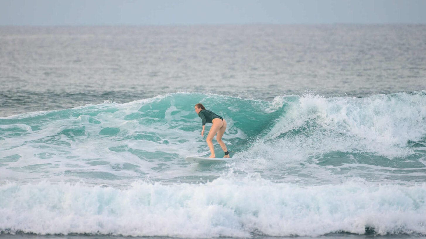 Belle surfing at Animals