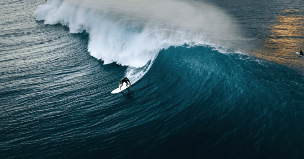 How Do the Top Surf Brands Rank for Wetsuit-Related Keywords?