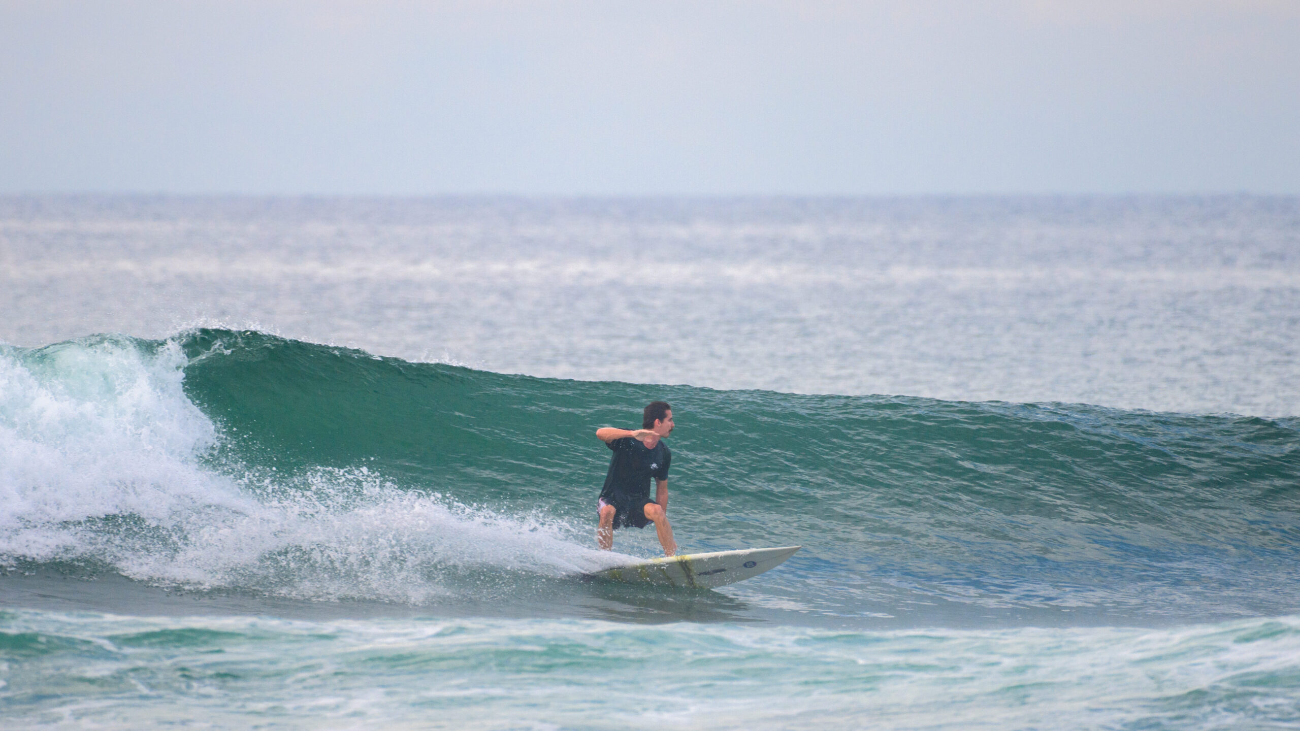 Riley surfing at Animals